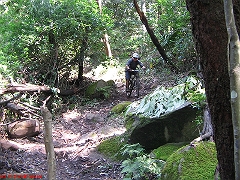 20080210-Bulli 112